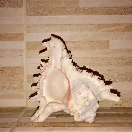 - Villetta Bilocale A 1km Dal Mare * Budoni